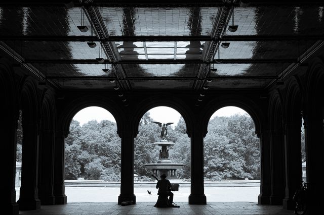 A photo of a musician in Central Park